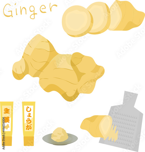 Illustration of a set of grated and sliced ginger.