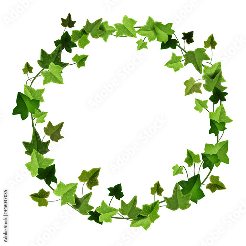 Green ivy circle frame, climbing vine vector wreath, liana floral garden border isolated on white. Nature foliage creeper illustration, spring realistic branch. Wedding ivy decoration frame clipart