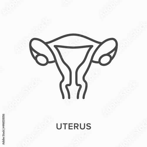 Uterus flat line icon. Vector outline illustration of womb. Black thin linear pictogram for gynecology system