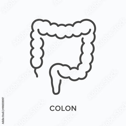 Colon flat line icon. Vector outline illustration of gut. Black thin linear pictogram for internal gastrointestinal organ