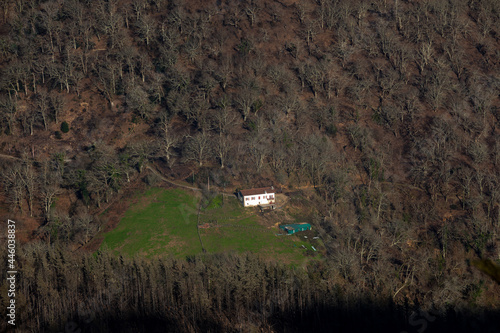 Basque mountains after a wild fire. Burned forest at February 2021. photo