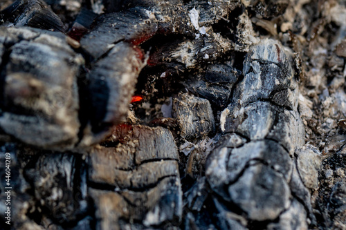 Coal from a burnt-out fire close-up