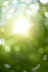 Blurred bokeh portrait background of fresh green spring, summer foliage of tree leaves with blue sky and sun flare. Illustration.