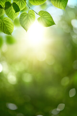 Fresh spring, summer green foliage of tree leaves and a bright sunny springtime bokeh portrait background.