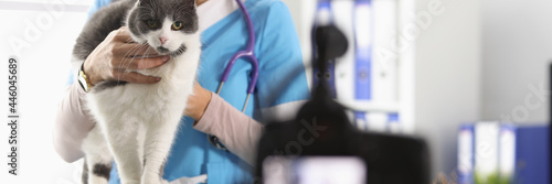 Woman veterinarian holding cat and filming in clinic
