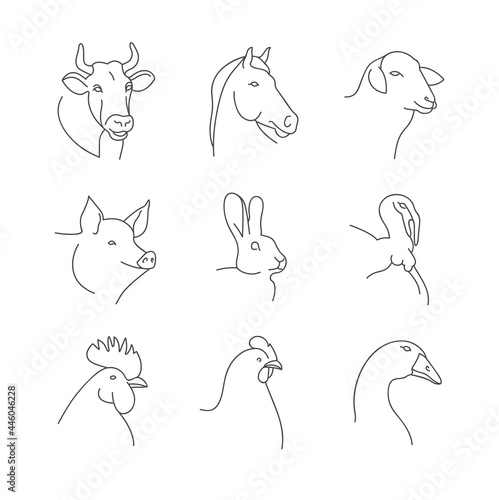 Vector set of linear illustration heads of farm animals isolated in white background.