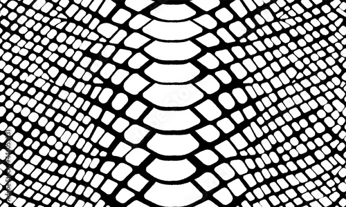 Trendy snake skin vector seamless pattern. Hand drawn wild animal skin, black and white repeat reptile texture for fashion python print design, fabric, textile, background, wallpaper