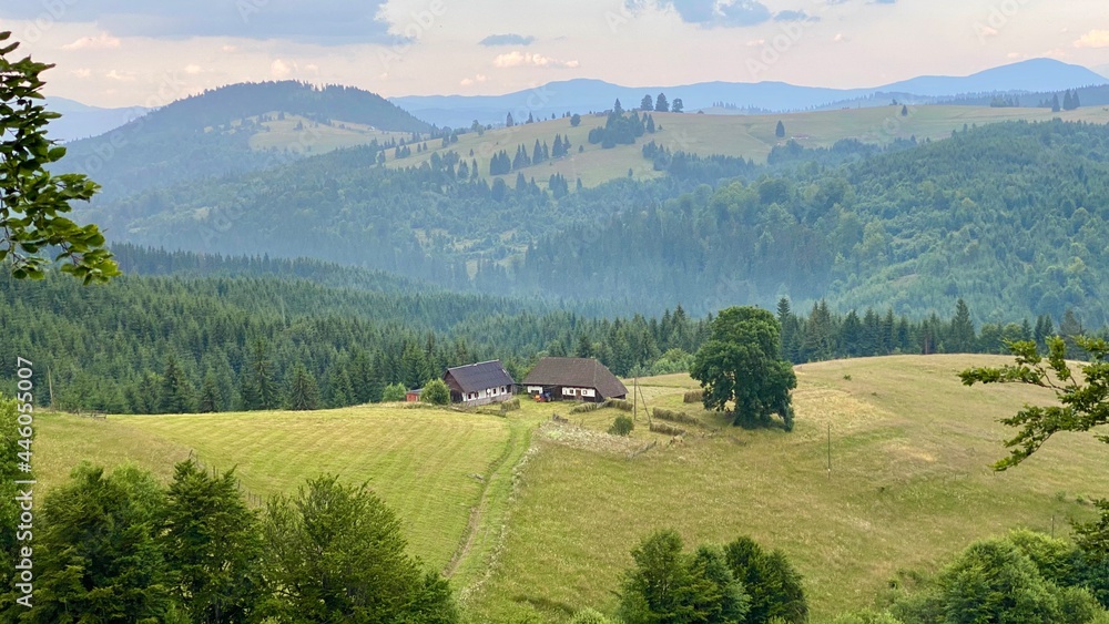 Obraz premium Summer in Transylvania.