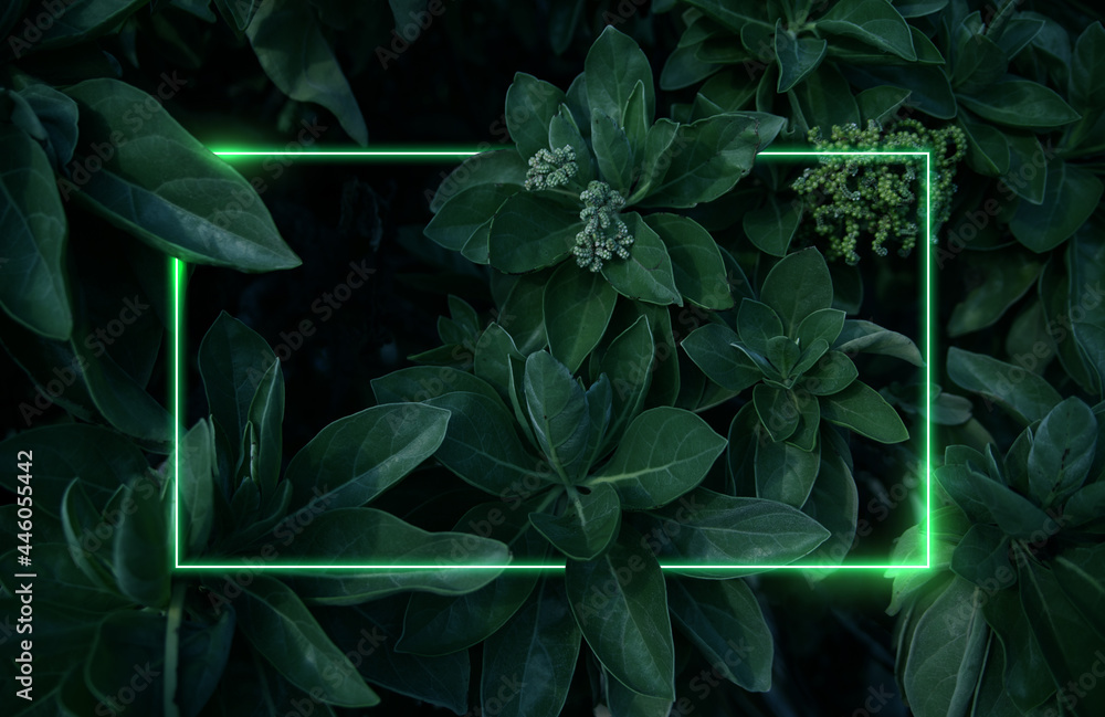Bright neon frame with white and green glow on background of tropical