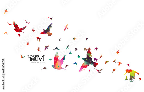 A flock of colorful birds. Vector illustration