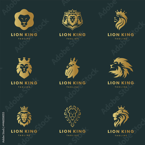 Lion head, Lion king, Mascot lion logo set vector icon illustration design