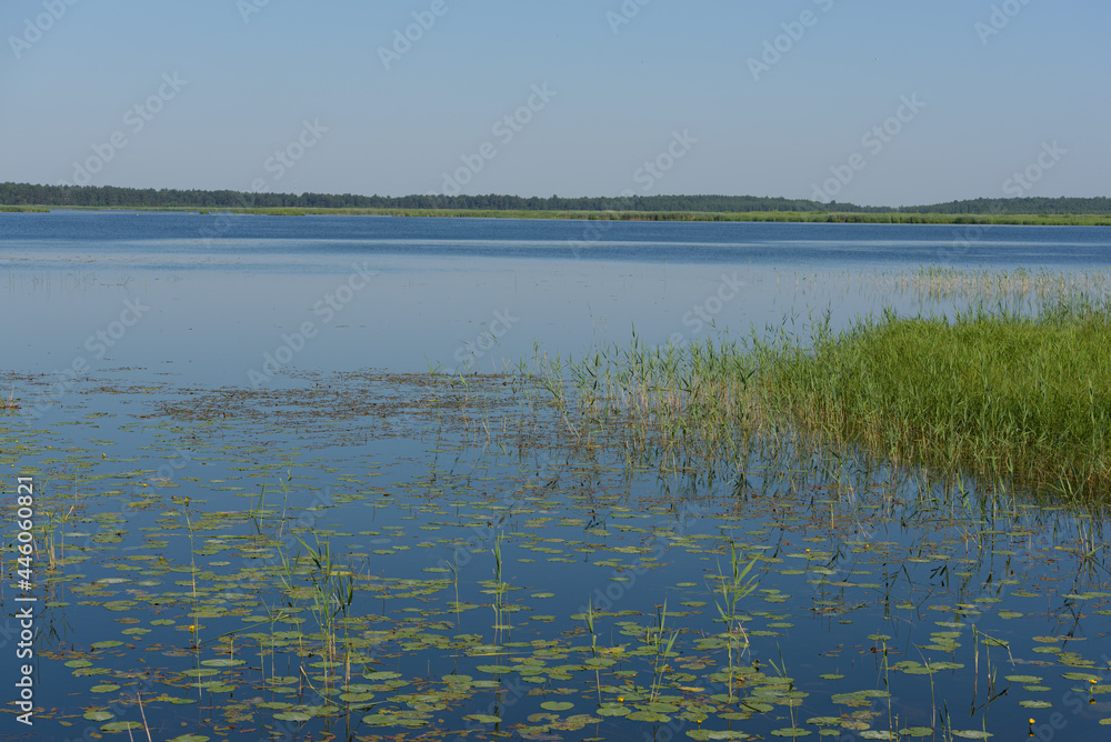 Žuvintas is the first reserve in Lithuania that has long been famous as a bird kingdom. Žuvintas is the first reserve in Lithuania that has long been famous as a bird kingdom.