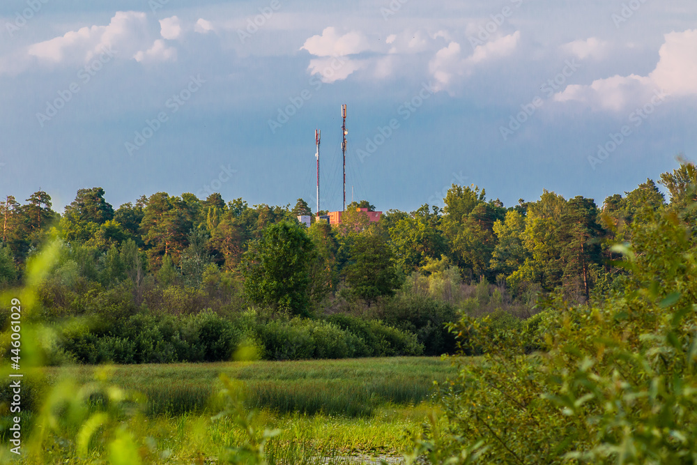 Obraz premium cellular network tower in a forest area