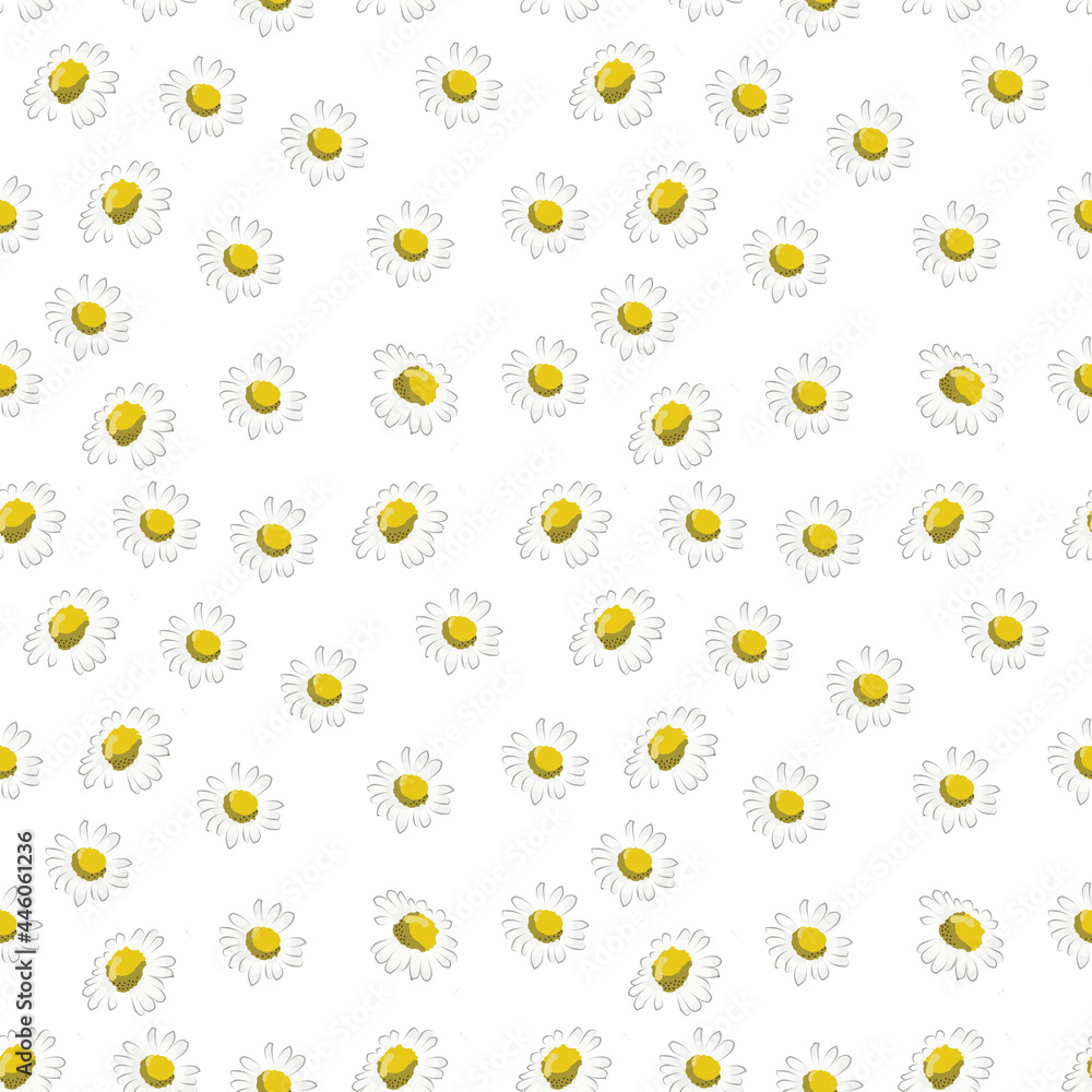 Colored seamless pattern of daisies. Colored seamless pattern of daisies.