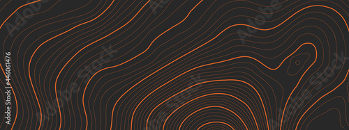 The stylized height of the topographic map contour in lines and contours. The concept map of a conditional geography scheme and the terrain path. Isolated Object. Ultra Wide size. Vector illustration.