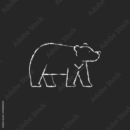 Formosan bear chalk white icon on dark background. White-throated taiwanesse mammal. Asiatic wildlife. Stocky build black fur taiwan endemic. Isolated vector chalkboard illustration on black