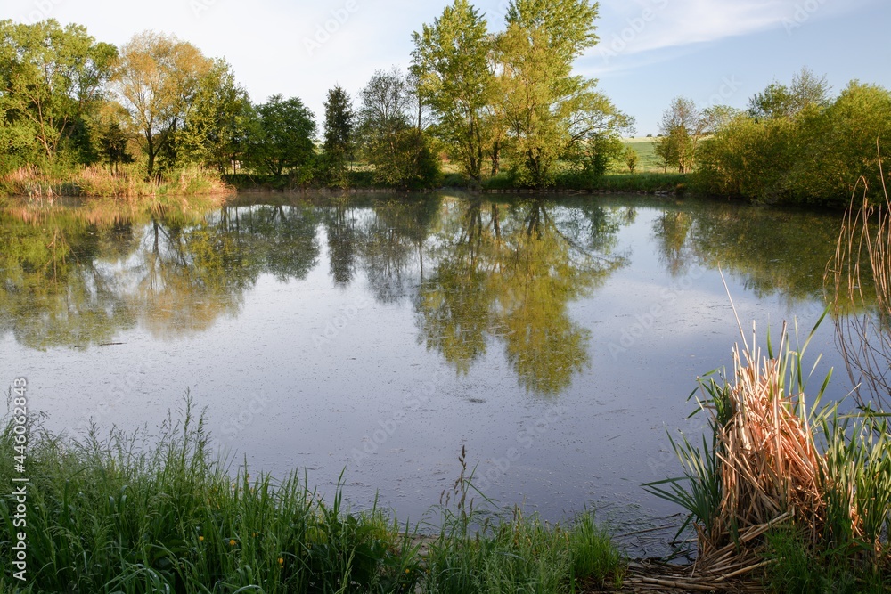 Obraz premium Morning by the pond. Rouske. East Moravia. Europe.