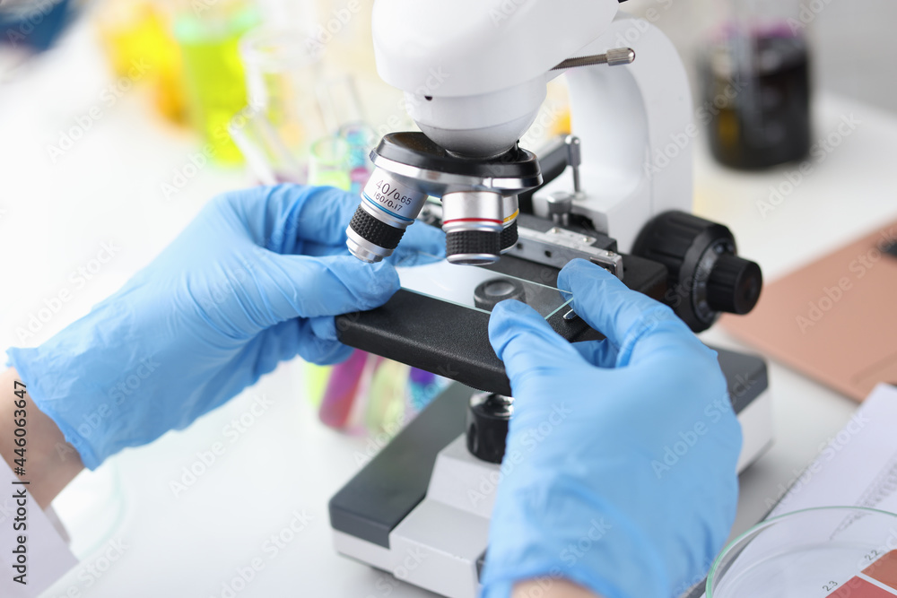 Scientist in gloves holds glass from microscope Scientist in gloves holds glass from microscope