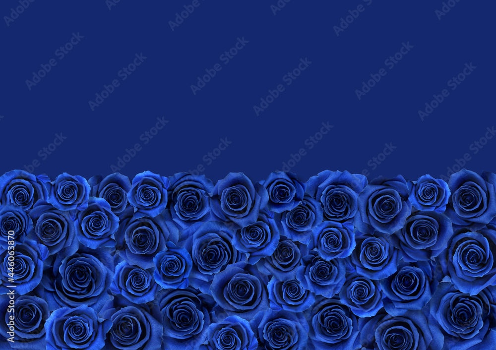 青い薔薇の絨毯 半分カラーの背景アート Stock Photo Adobe Stock