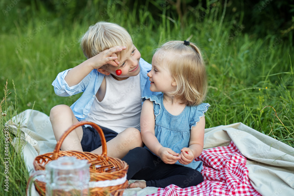 A little boy and a girl with blonde hair at a picnic play and have fun on a picnic blanket, next to a basket of berries A little boy and a girl with blonde hair at a picnic play and have fun on a picnic blanket, next to a basket of berries