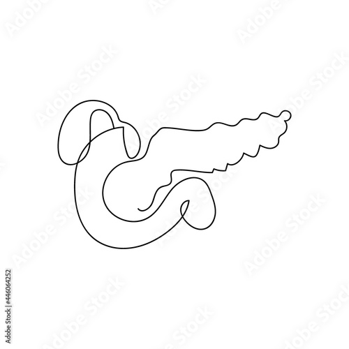 Human pancreas one line art. Continuous line drawing of human, internal, organs, pancreas, gastrointestinal tract, duodenum, gallbladder.