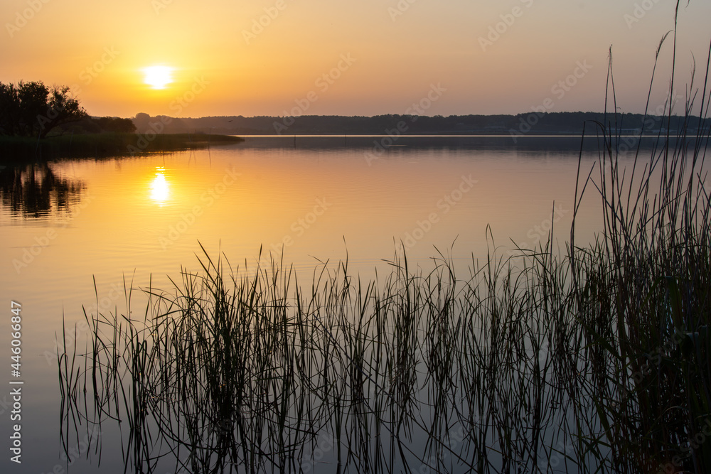 Fototapeta premium 茨城県牛久沼の夜明け