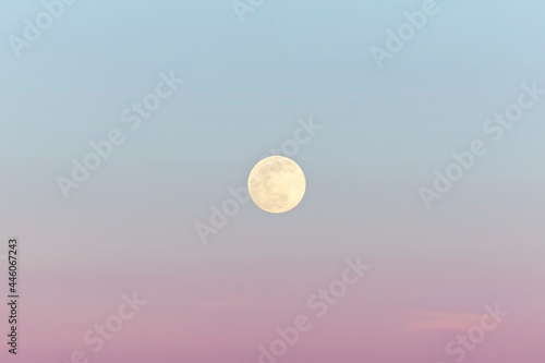 Obraz na płótnie Beautiful moon on soft pink sky. Beautiful moon on soft pink sky, astrological background. w salonie