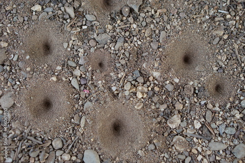 Fényképezés Holes of small insects, Ant lion's larva on the ground