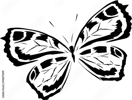 butterfly tattoo design