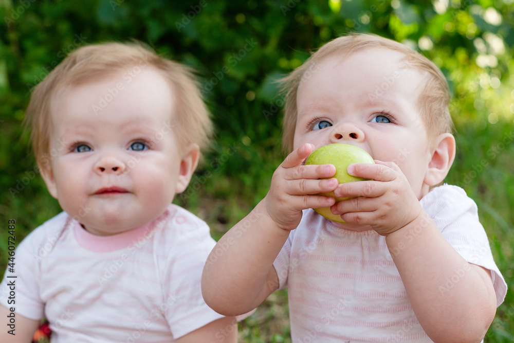 Twin girls looking up with an appetite eat apples in the fresh air. Twin girls looking up with an appetite eat apples in the fresh air.