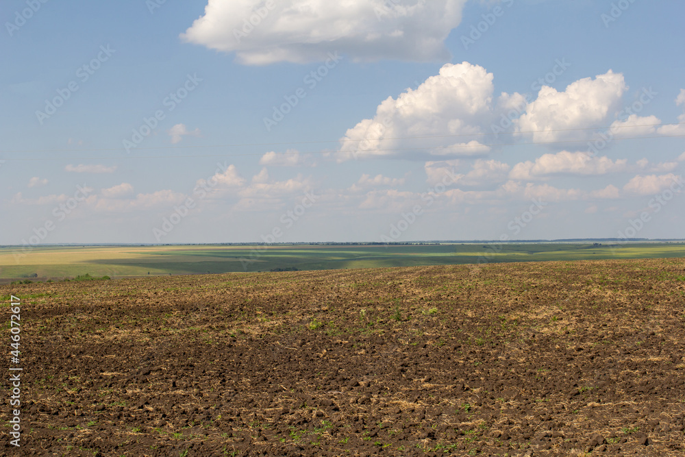 plowed field and blue sky, grassy landscape plowed field and blue sky, grassy landscape