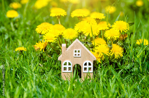  The symbol of the house stands among the yellow dandelions 