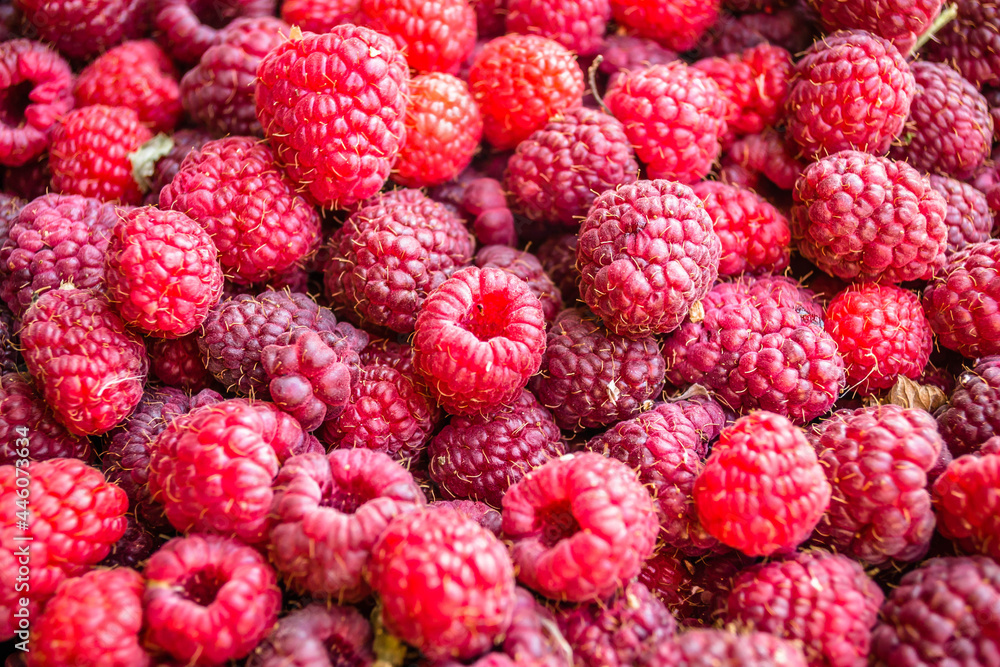 Ripe red raspberry fruits. Ripe red raspberry fruits.