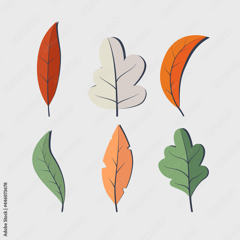 Graphic of Set flat design autumn leaves vector illustration Graphic of Set flat design autumn leaves vector illustration