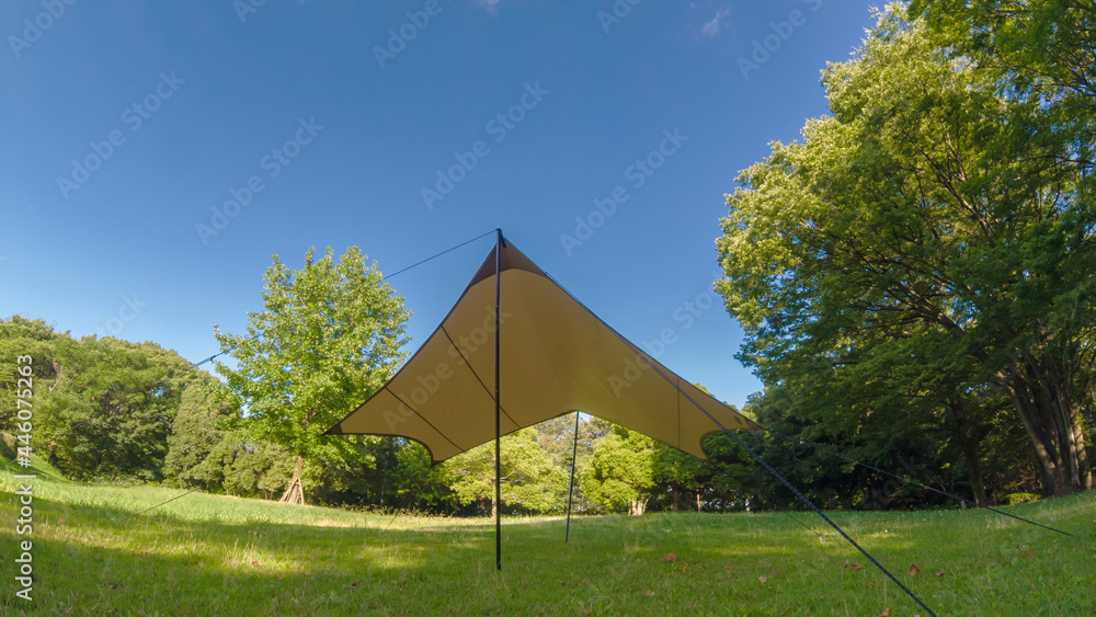 夏の公園でテントを張ってアウトドアしている様子