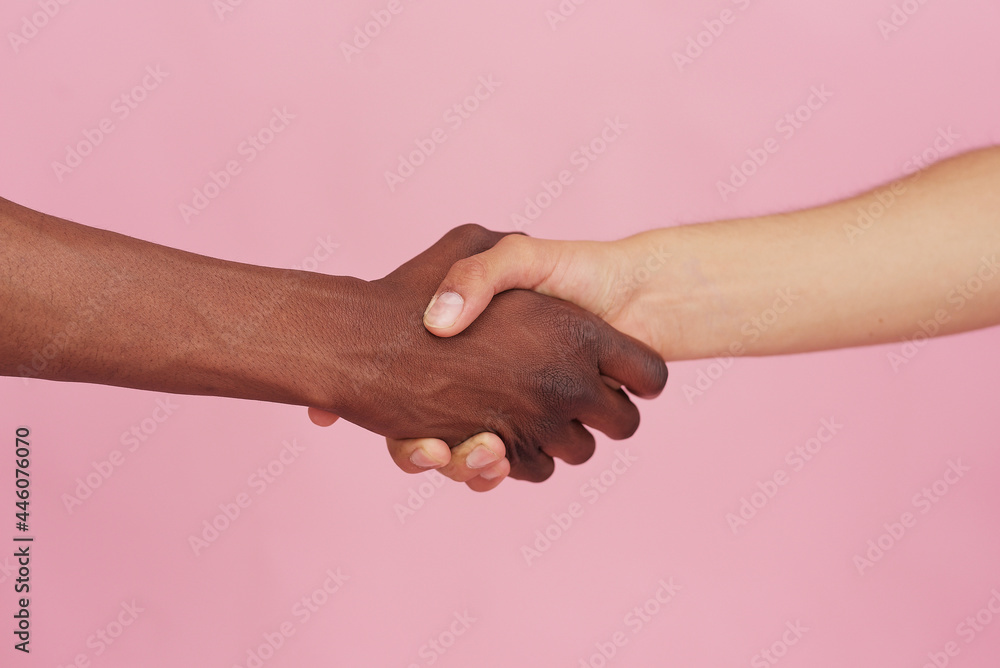 White Caucasian hand and black hand shake hands on pink background. Multiracial respect and understanding concept White Caucasian hand and black hand shake hands on pink background. Multiracial respect and understanding concept