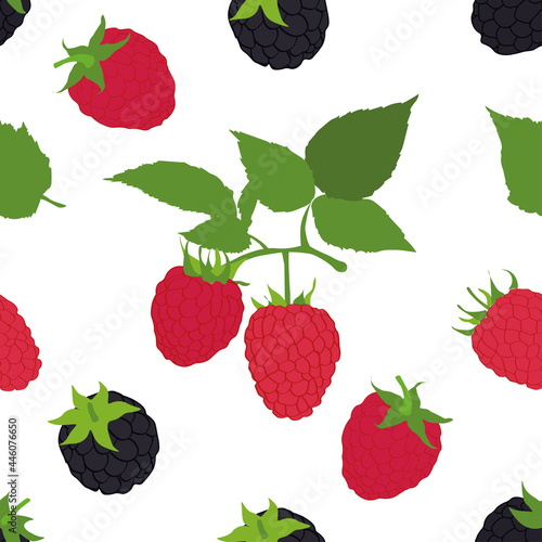 blackberry and raspberry with leaves isolated on white background. Top view. Flat lay pattern