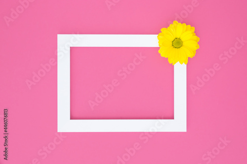 Yellow flower on white picture frame and bright pink color background empty space for text