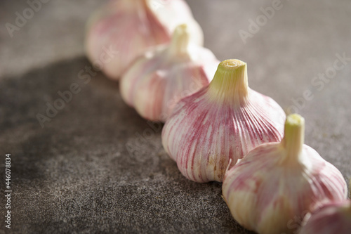 Washed garlic on dark background