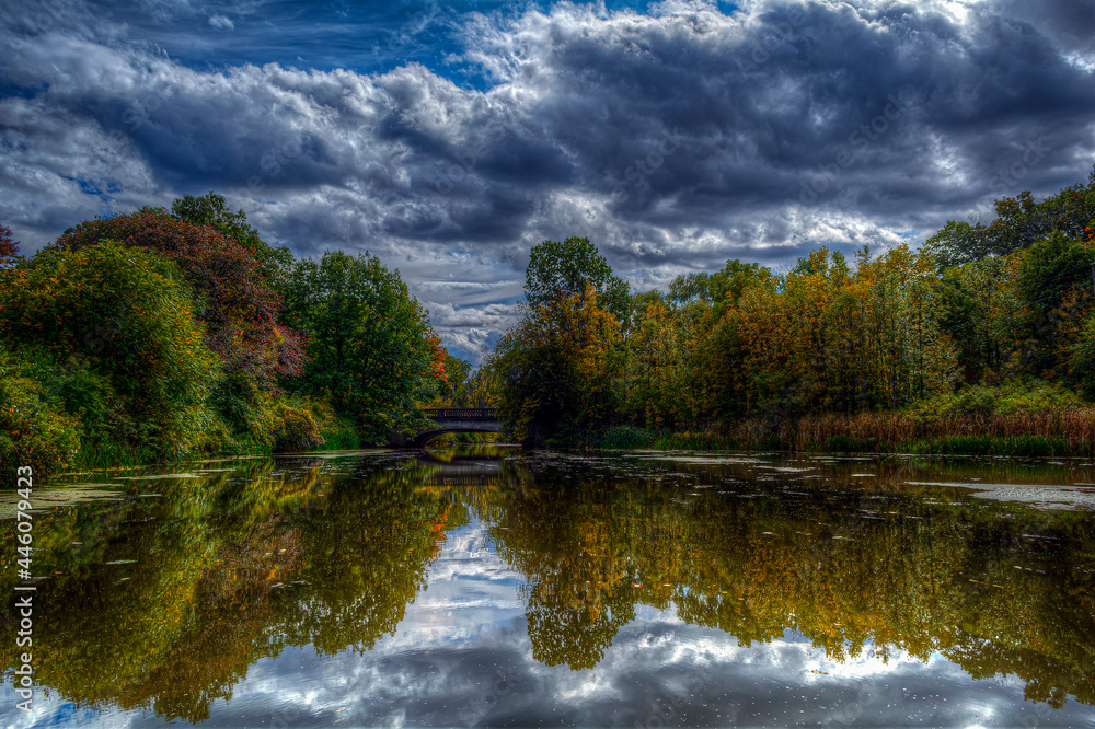 Fototapeta premium reflection of trees in water