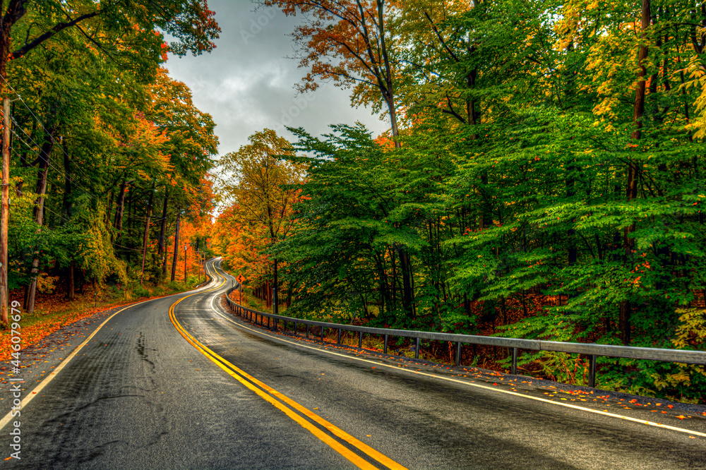 Obraz premium road in autumn forest
