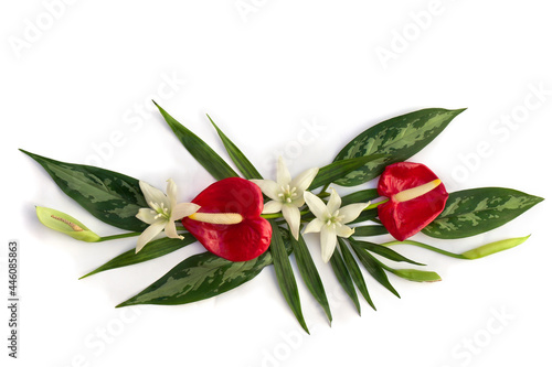 Tropical palm leaves and dieffenbachia  red flowers Anthurium and white flowers tropical on white background with space for text. Top view  flat lay