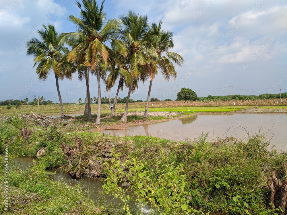 tamilnadu nature 