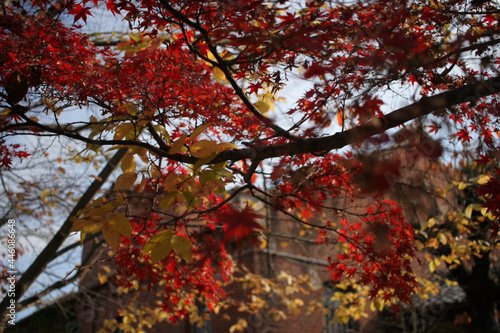 Wallpaper Mural THE FORMER NARA PRISON 旧奈良監獄 奈良少年院　最後の見学会　 Torontodigital.ca