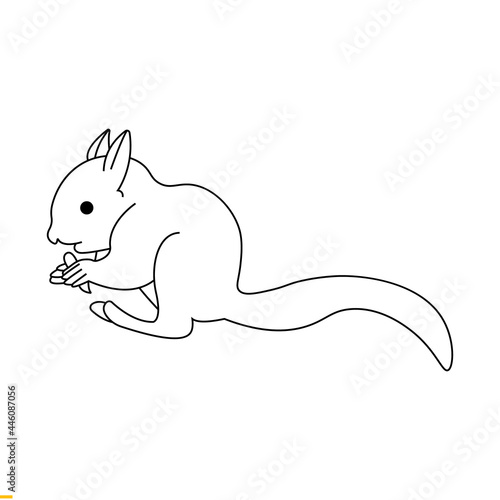 Squirrel Line Art Logo Design for Business and Companies