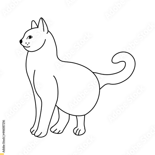 Cute Cat Line Art Design for Business and Companies