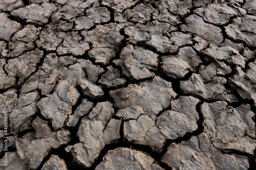 dry soil background dry soil background