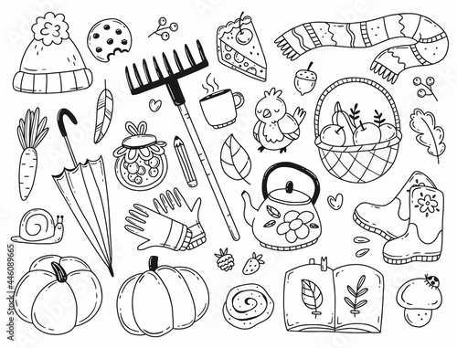 Set of autumn elements in simple doodle style. Black and white vector illustration isolated on background. Cozy autumn.