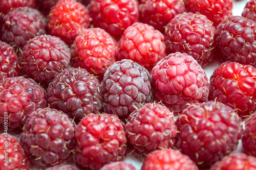 A close-up shot of a fresh raspberry - perfect for a food blog or photo wallpaper.