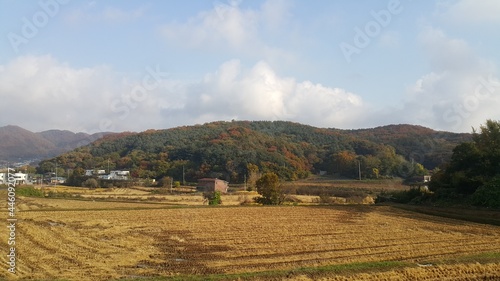 Obraz na płótnie 벼 수확이 끝난 한국의 들판, 논 w salonie
